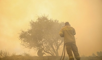 Waldbrand in Griechenland: Mehr als 250 Urlauber mit Booten von Stränden evakuiert