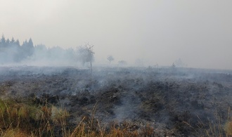 Waldbrand in Belgien nahe Deutschland hat 3000 Hektar Land zerstört