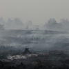 Brand in Belgien: Feuer breitet sich nicht mehr in Richtung Deutschland aus
