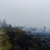 Behörden: Feuerwehr will Brand im Osten Belgiens ''endgültig einkreisen''