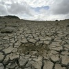 Klimaphänomen El Niño: Für 80 Prozent von Honduras Dürre-Alarm ausgerufen
