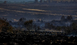 Waldbrand in Belgien ''vollumfänglich unter Kontrolle'' - deutsche Feuerwehr zieht ab