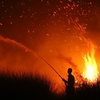 Indonesien: Waldbrände zerstörten 2026 schon 200.000 Hektar - Das Schlimmste kommt noch