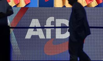Historikerin warnt Unternehmen vor Nähe zur AfD