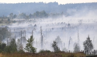 EU-Krisenkommissarin besucht Waldbrandgebiete in Deutschland und Belgien
