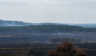 Brand im Hohen Venn: Staatsanwaltschaft vermutet ''landwirtschaftliches Gerät'' als Ursache