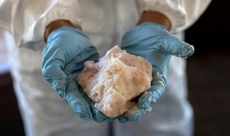 Ermittler entdecken anderthalb Tonnen Crystal Meth im Hamburger Hafen