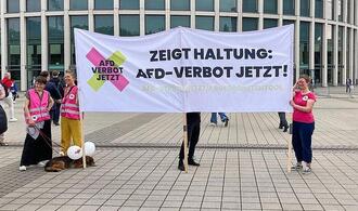 Grüne drängen auf Verbotsverfahren gegen gesamte AfD
