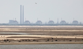 IAEA: Akw Saporischschja seit mehr als einer Woche ohne externe Stromversorgung