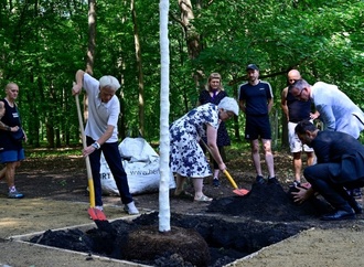 Gedenkort nach CSD-Anschlag: Baum in Berliner Tiergarten herausgerissen