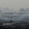 WMO: Hitzewellen und Waldbrände verschlechtern die Luftqualität
