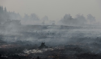 WMO: Hitzewellen und Waldbrände verschlechtern die Luftqualität