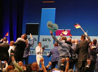 Polen warnt vor AfD