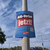 Grüne: AfD-Verbotsverfahren nur mit sicherer Mehrheit