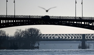 Feuerwehr rettet Möwe von Rheinbrücke: Einsatz mit Drehleiter und spontanem Applaus