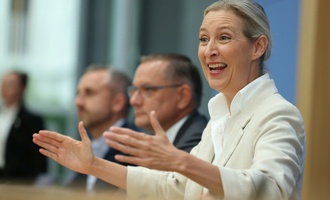 AfD-Chefin Weidel fordert Neuwahlen im Bund