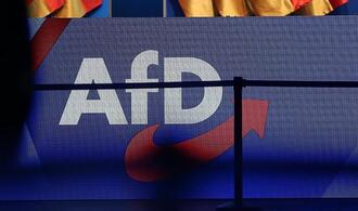 Ökonomen warnen vor AfD-Regierung