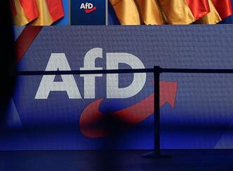 Ökonomen warnen vor AfD-Regierung