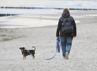Einnahmen aus Hundesteuer stagnieren auf hohem Niveau