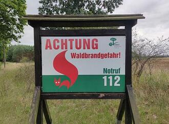 DIW: 2026 doppelt so viel Fläche verbrannt wie im Zehnjahresschnitt