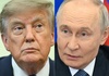 Trump: Mit Putin russische Diesel-Lieferung für USA und Weltmarkt vereinbart