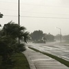 Mindestens drei Tote durch Hurrikan ''Isaias'' in Florida und Alabama