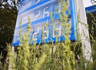 Inflationsrate von 3,3 Prozent im September bestätigt