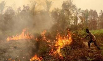 Mehr als 280.000 Fälle von Atemwegserkrankungen in Waldbrandgebieten in Indonesien