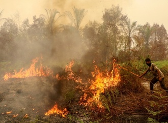 Mehr als 280.000 Fälle von Atemwegserkrankungen in Waldbrandgebieten in Indonesien