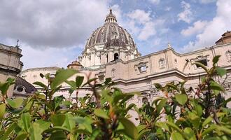 Papst wird aus Krankenhaus entlassen
