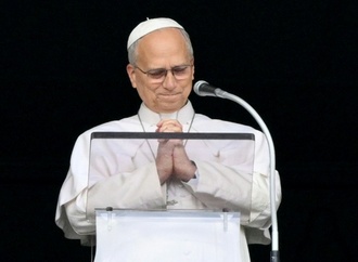 Papst Leo XIV. spricht nach Telefonat mit Putin auch mit Selenskyj