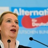 Weidel pocht auf EU-Reform - AfD will Parlament und Kommission entmachten