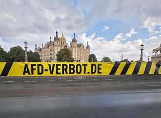 Schwesig fordert Bund-Länder-Arbeitsgruppe zu AfD-Verbot