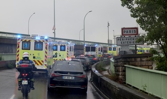 Shamonda-Virus erstmals bei Menschen entdeckt - Patient stirbt in Frankreich