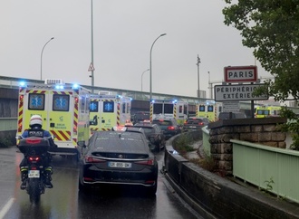 Shamonda-Virus erstmals bei Menschen entdeckt - Patient stirbt in Frankreich