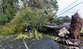 Sturm ''Austen'': 161.000 Haushalte im Westen Frankreichs ohne Strom