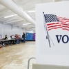 Vor US-Zwischenwahlen: Gefälschte Umfragen aufgeflogen