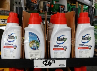 Streit um Pestizid Glyphosat: Bayer siegt erneut vor US-Gericht